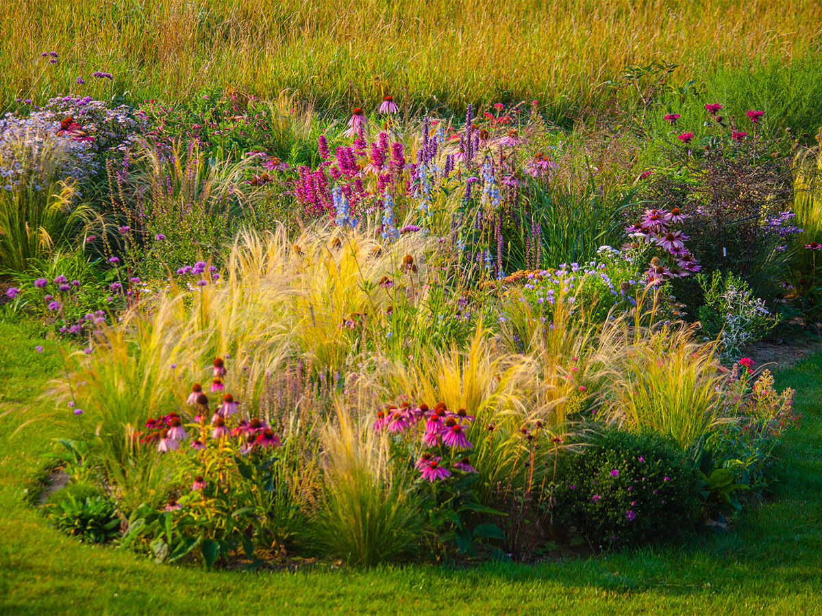 Sustainable Backyard Design with Native Plants and Flowers. A variety of native plants and flowers are being used in this sustainable backyard design. The plants will help attract pollinators, reduce the need for watering, and improve the environment's overall health.