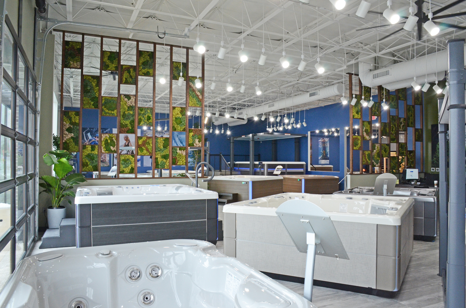 Bachmann Pools And Spas - Brookfield, WI 53005 - Hot Spring Spas