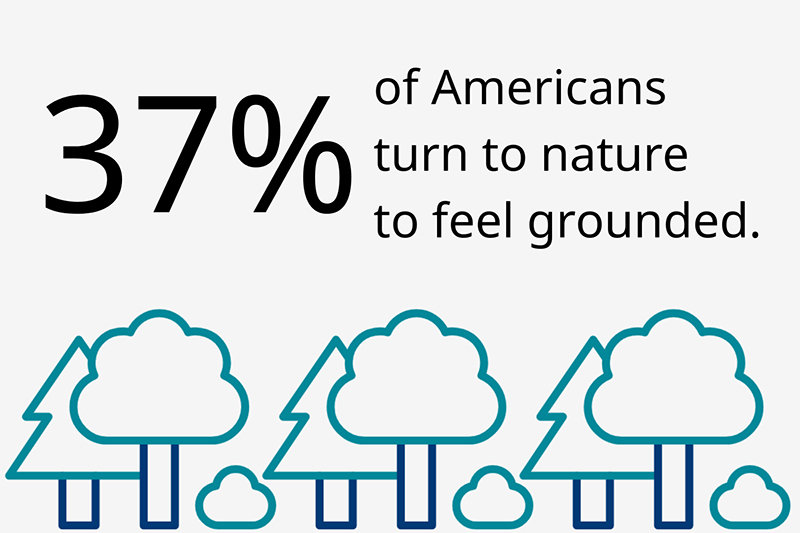 An infographic with tree icons illustrating that many Americans turn to nature to feel grounded.